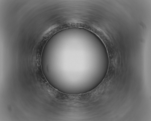 X0000113170870200909041320