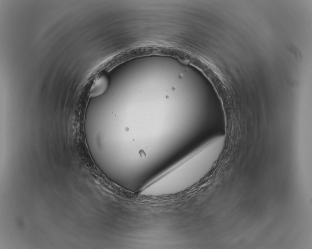 X0000113170872200909041320