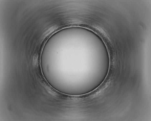 X0000113170873200909041320