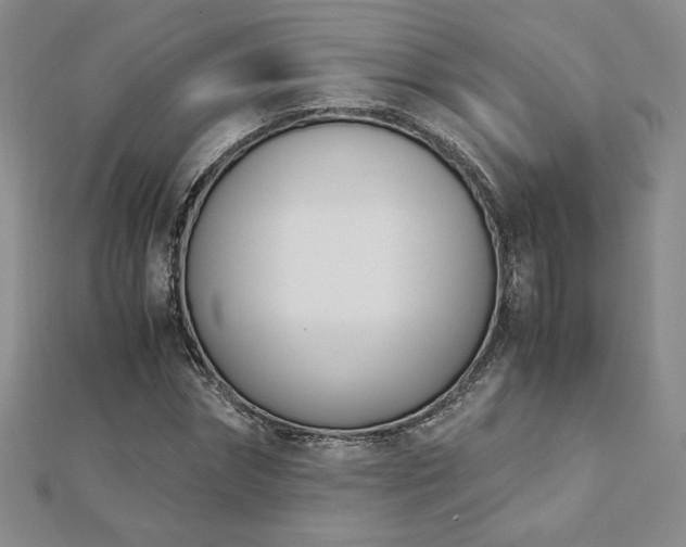 X0000113170874200909041320