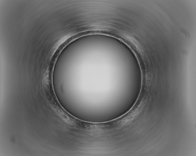 X0000113170875200909041319