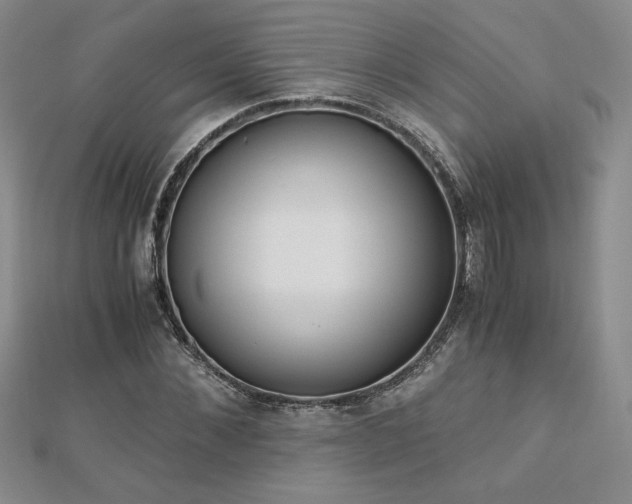 X0000113170876200909041319