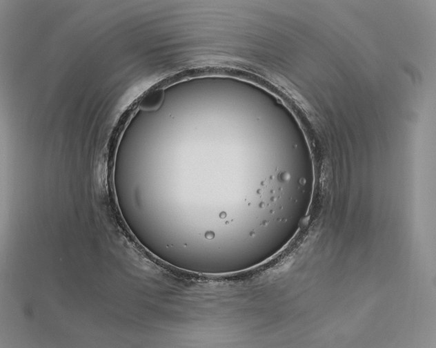 X0000113170877200909041319