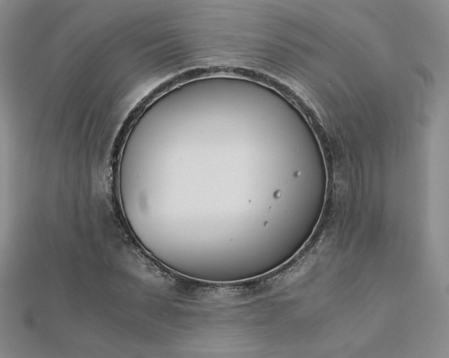 X0000113170879200909041319