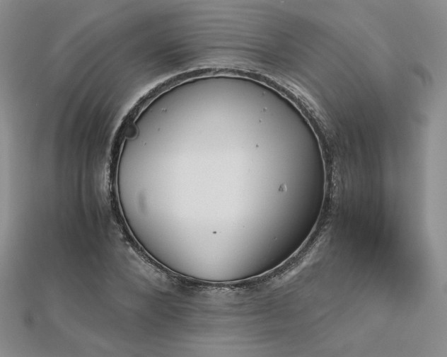 X0000113170880200909041319