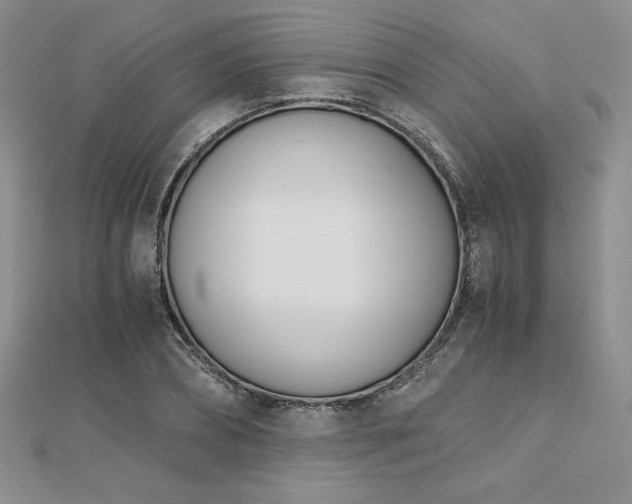 X0000113170882200909041319