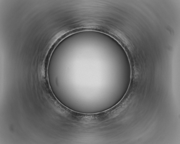 X0000113170883200909041319