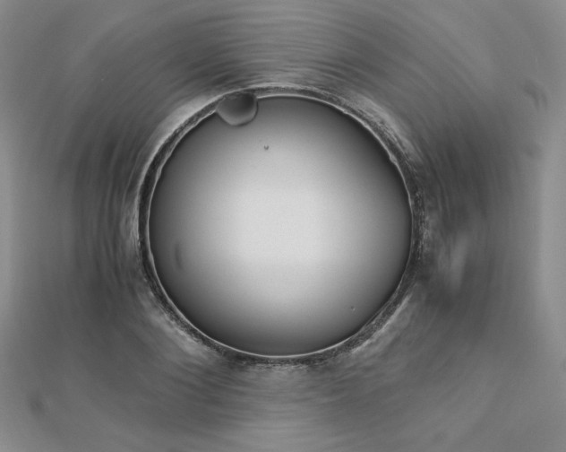X0000113170884200909041319