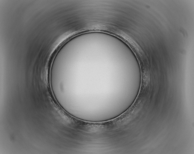 X0000113170886200909041319
