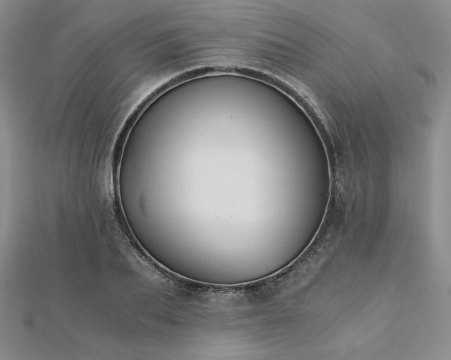 X0000113170887200909041319