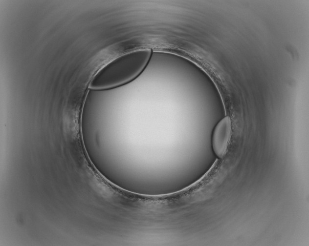 X0000113170889200909041319
