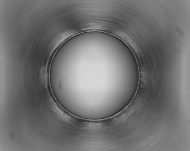 X0000113170890200909041319
