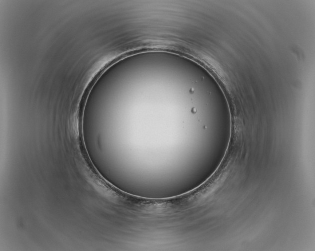 X0000113170891200909041319