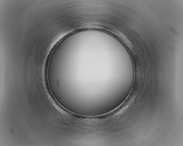 X0000113170893200909041319