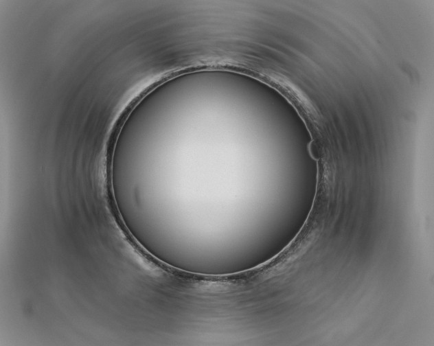 X0000113170894200909041319