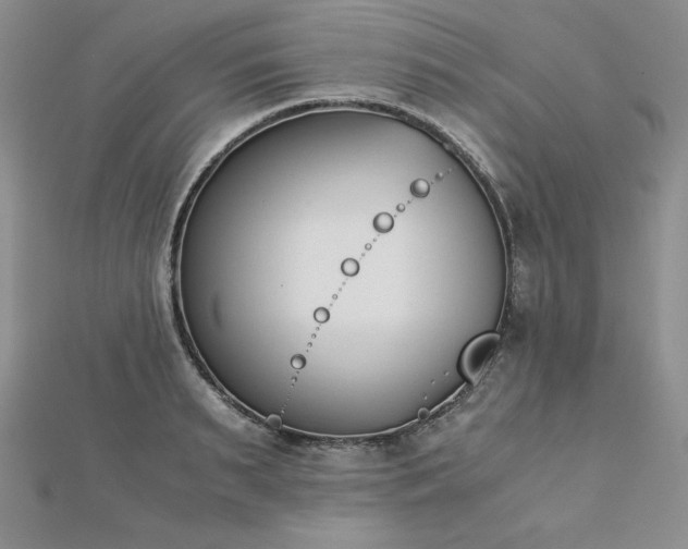 X0000113170895200909041319