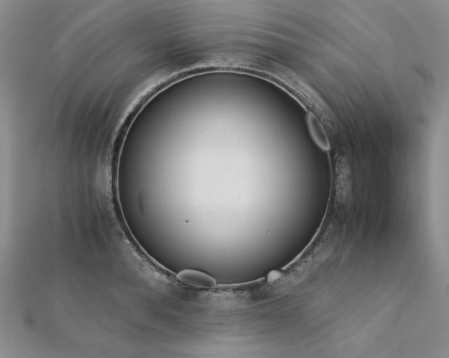 X0000113170896200909041319