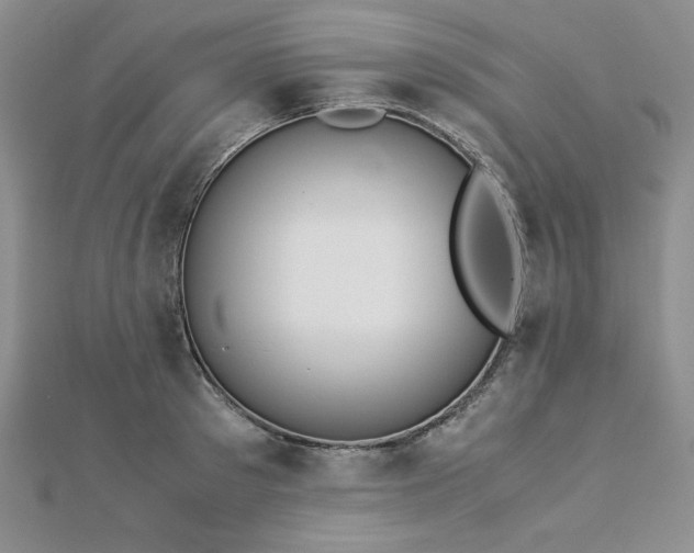 X0000113170897200909041319