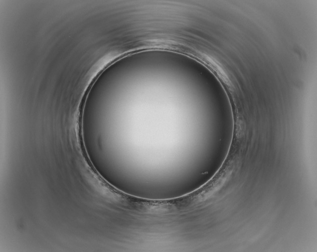 X0000113170899200909041319
