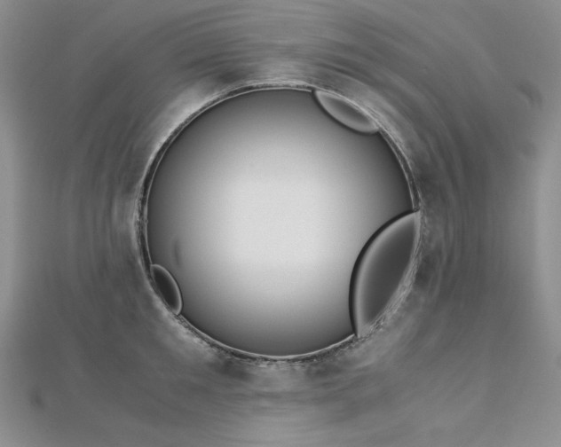 X0000113170901200909041319