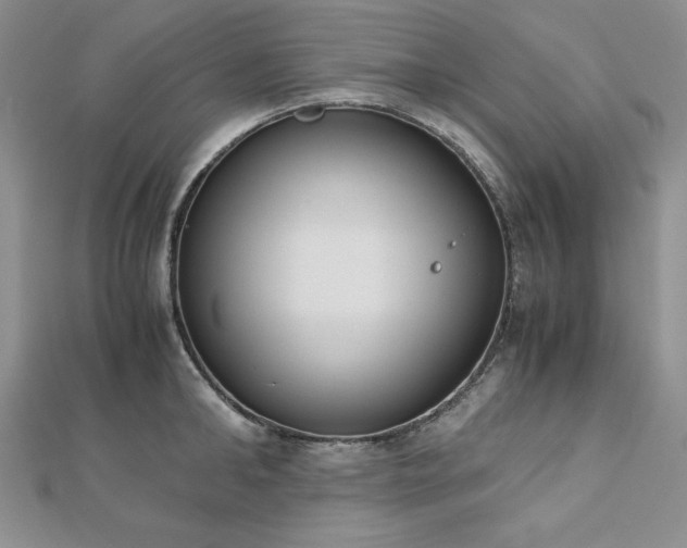 X0000113170902200909041319