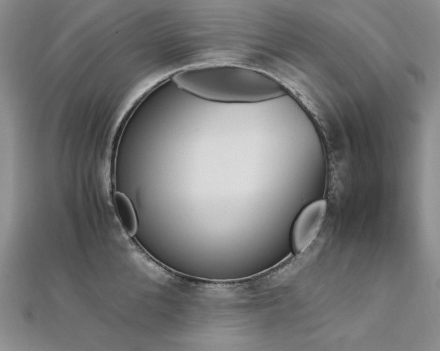 X0000113170904200909041319