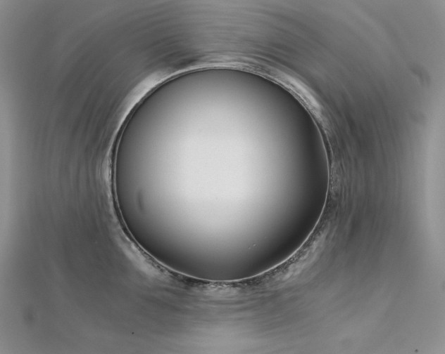 X0000113170907200909041319