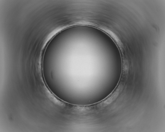 X0000113170910200909041319