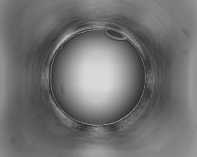 X0000113170911200909041319