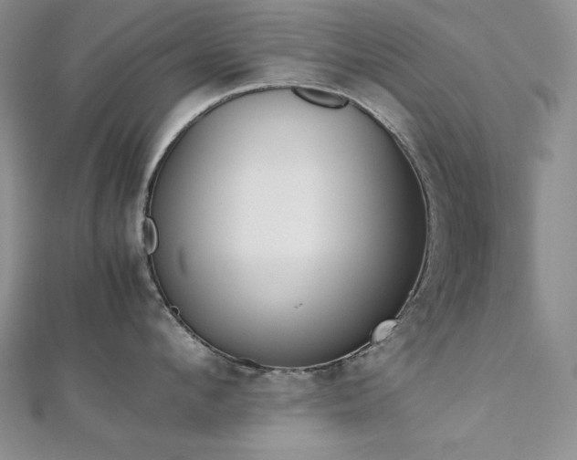 X0000113170912200909041319