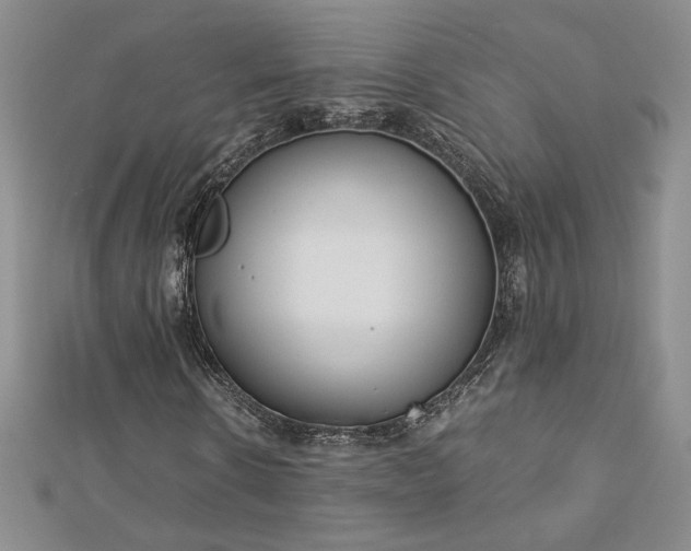 X0000113170914200909041318