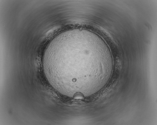 X0000113170918200909041318