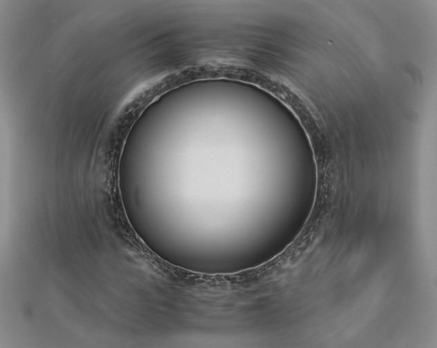 X0000113170919200909041318