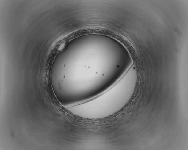 X0000113170920200909041318