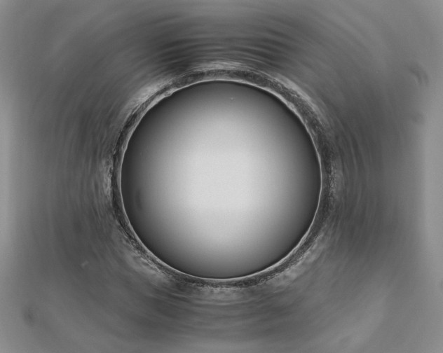 X0000113170921200909041319