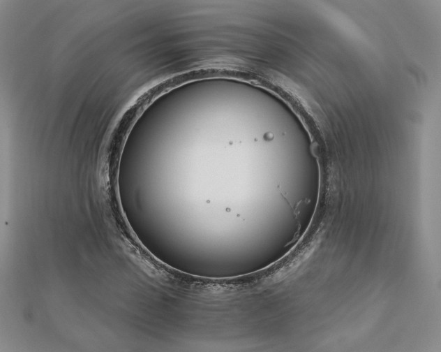 X0000113170923200909041319