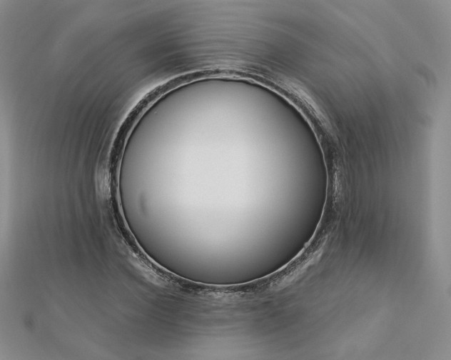 X0000113170924200909041319