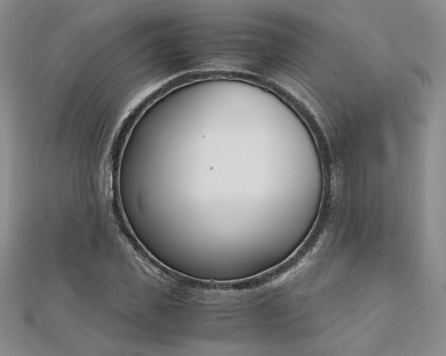 X0000113170925200909041319