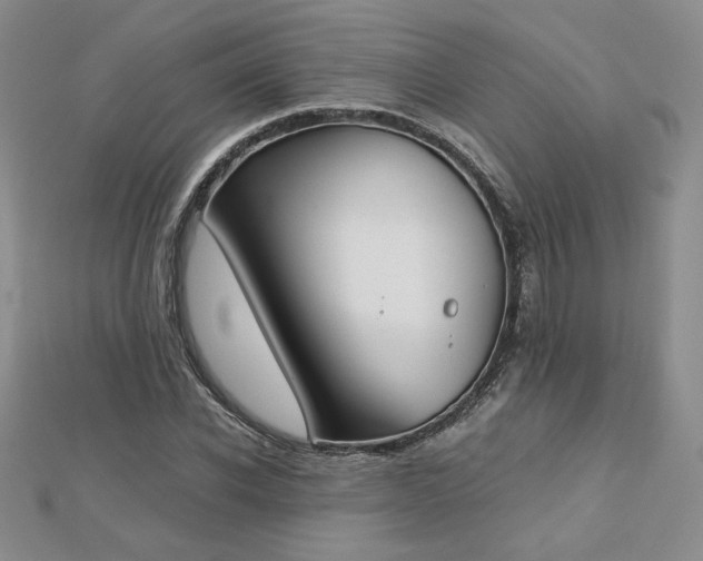X0000113170926200909041319