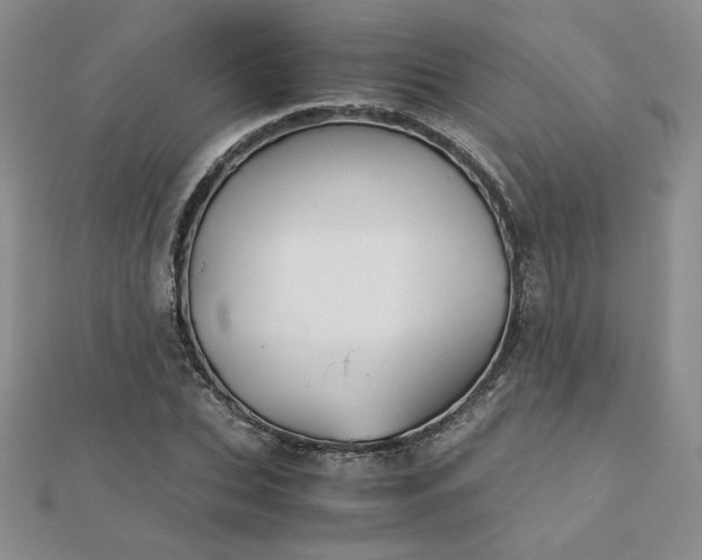 X0000113170927200909041319