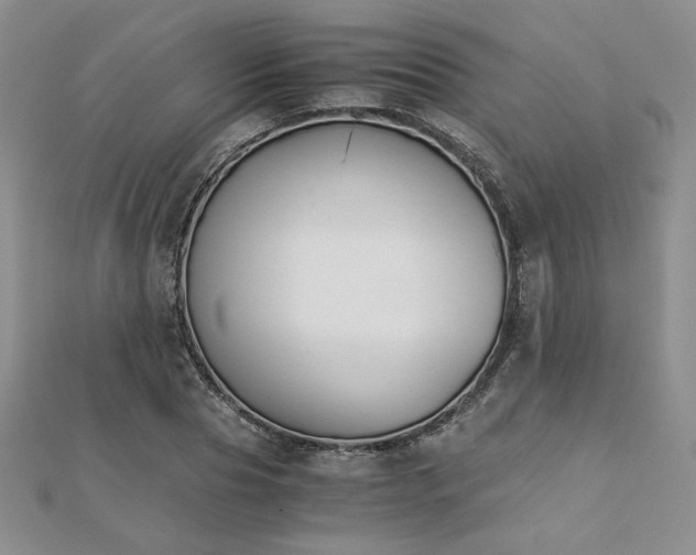 X0000113170929200909041319