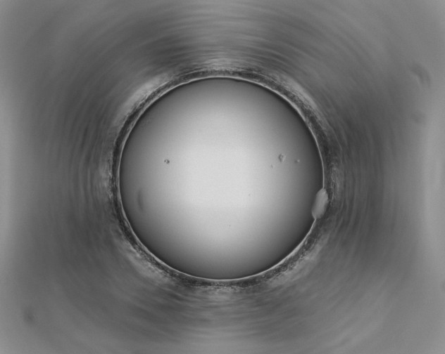 X0000113170930200909041319