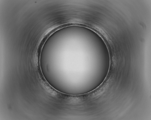 X0000113170931200909041319