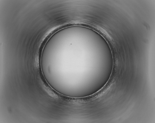 X0000113170934200909041319