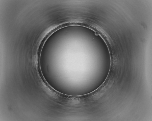 X0000113170935200909041319