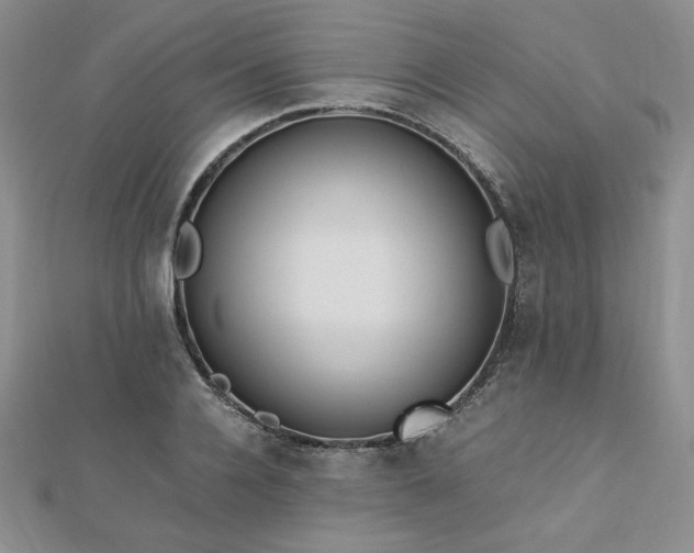 X0000113170936200909041319