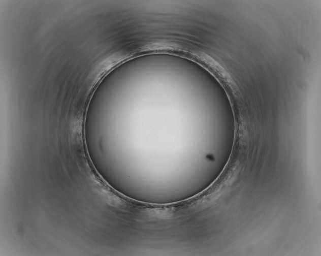 X0000113170937200909041319