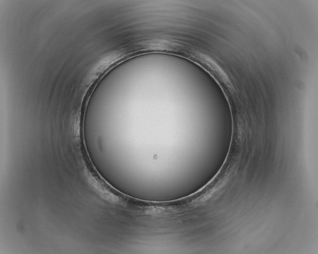 X0000113170938200909041319