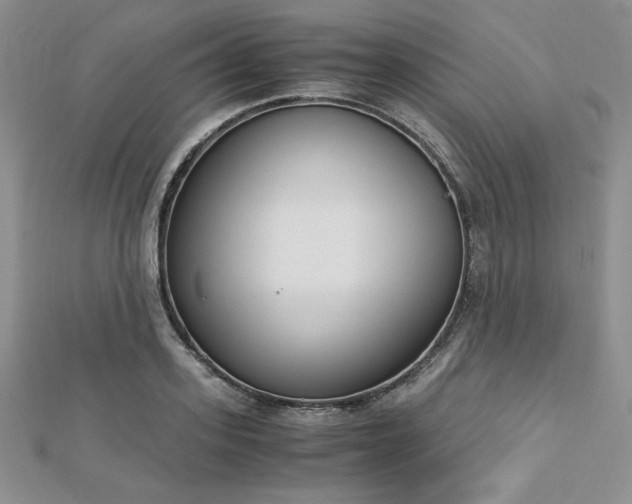 X0000113170939200909041319