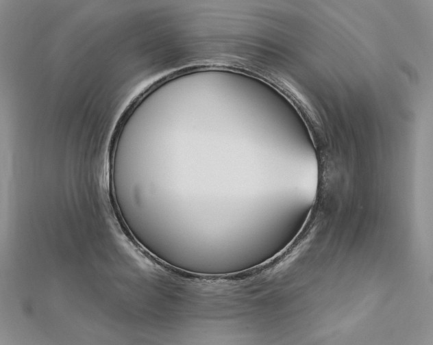 X0000113170940200909041319